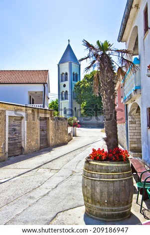 Dalmatian street in town of Petrcane, Croatia