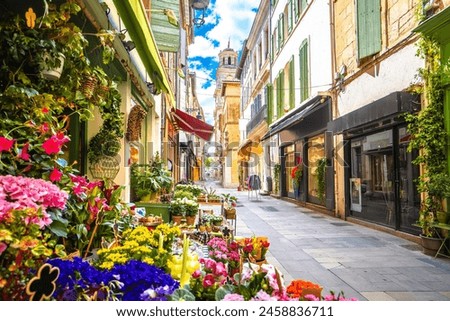 Similar – Image, Stock Photo Flowers in the street with their shadows