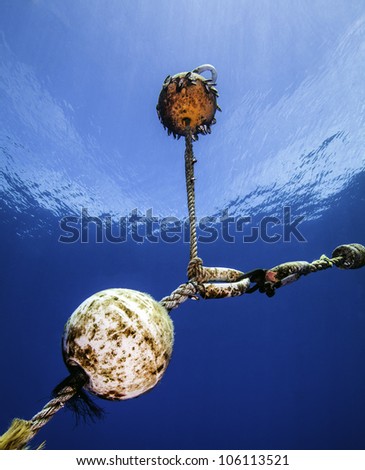 An underwater mooring ball connection with a sky reflection and surrounded by gin clear blue water in Key Largo, Florida