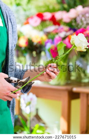 Young handsome florist cutting rose with tongs in shop