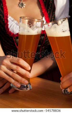 Couple in traditional Bavarian Tracht - Dirndl and Lederhosen - in a beer tent at the Oktoberfest or in a beer garden clinking glasses with whet beer, only glasses and torsos to be seen