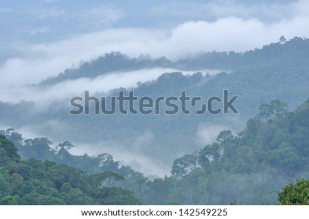 The mist in the evening, paneantong national park, Phetchaburi Province of Thailand