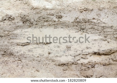 Puddle and mud with tire track texture