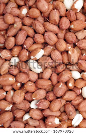 Shelled peanuts or peanut halves used as bird food