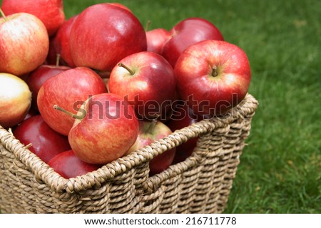 Similar – Image, Stock Photo Harvest time! Food Fruit