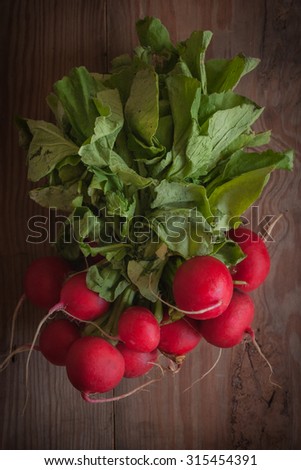 Radishes a peppery salad vegetable freshly picked from the garden in low key lighting