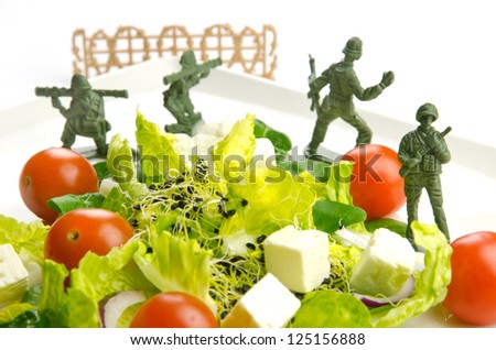 Military toy soldiers defending healthy food, the weight loss war
