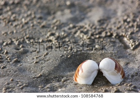 Snail is a common name in Thailand of invertebrates in the phylum molluscs (Mollusca) live both on land and in the water feature a shell that is calcium hardness. Use body wrap