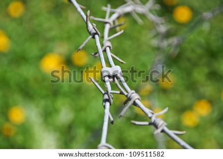 barbed wire , be a tool obstructs , be a fence will protect the thing to will come in in the boundary , or , place no take to permit , it is hindrance symbol especially