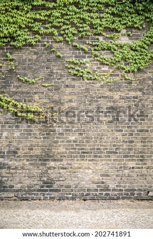 Similar – Foto Bild dreckige Fassade in Berlin