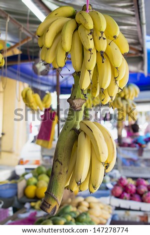 Ripe Yellow Bananas Bunch Hanging at Fruit Stall in Southeast Asia