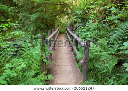 Wood Bridge in Sweet Creek Falls Trail Complex with Lush Greenery in Mapleton Oregon during Spring Season