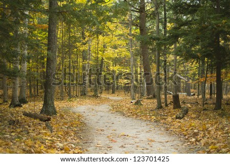 Hiking trail through forest during colorful autumn season at Potawatomi State Park in Door County of Wisconsin