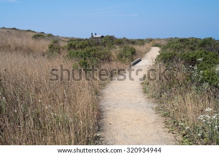coastal prairie grassland and trail at bodega head peninsula in sonoma coast state park of california