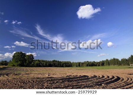The field after sowing in Estonia. Grain farming. Landscape