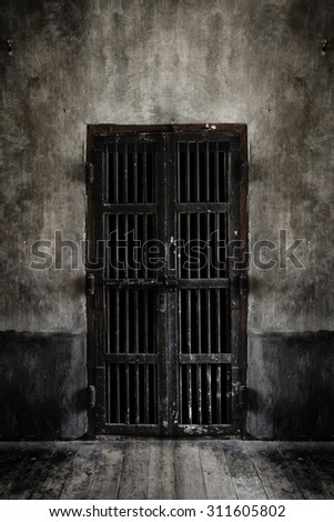 Rusted iron bars door on old wall, vintage style add vignette. \
Add light smoke looking soft focus.