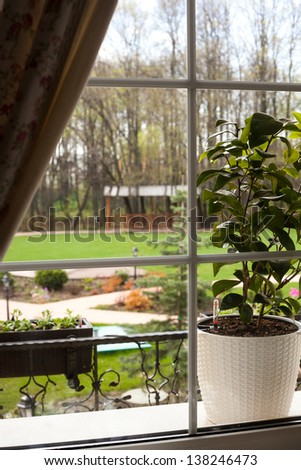 beautiful garden view from the window