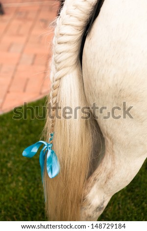 white pony tail hair dress with plait and blue ribbon