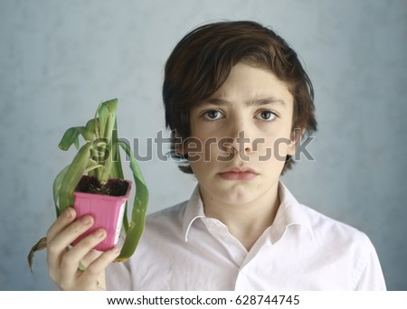 Similar – Image, Stock Photo three withered potted plants with tomatoes in front of urban facade