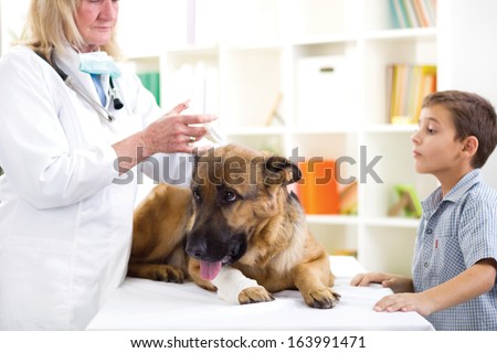 veterinary giving the vaccine to the German Shepherd  dog ,young boy looking his friend