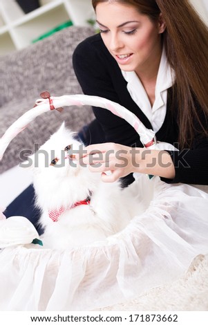 woman feeding a white Persian cat