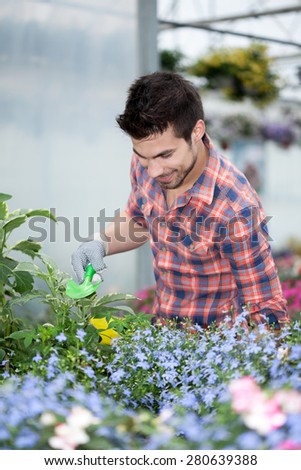 Young smiling florists working in the greenhouse