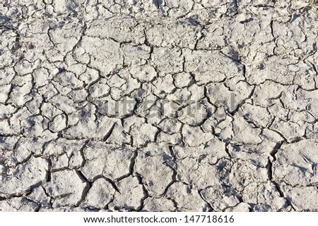 background and texture of cracked mud