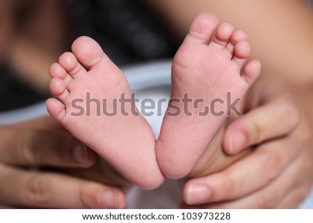 Little baby\'s feet with mom