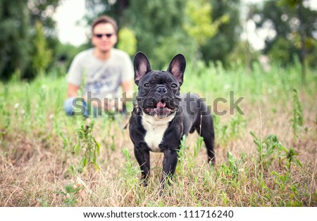 A man and a french bulldog in the park