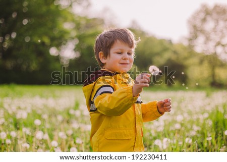 Similar – Image, Stock Photo Child holding dandelion