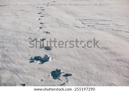 Footsteps on the snow field