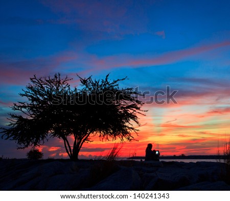sunset and tree and sea background