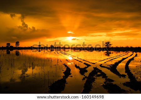 Silhouettes landscape view sunset Water reflection