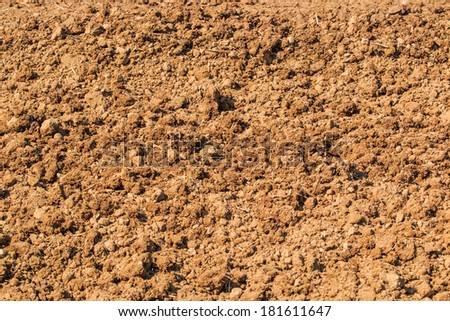 Soil  texture background