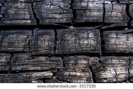 Close up of a burned wood log after it has been put out