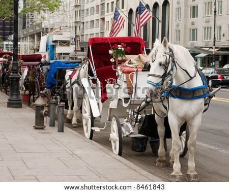 Horse carriages waiting for customers at the central park in New York City