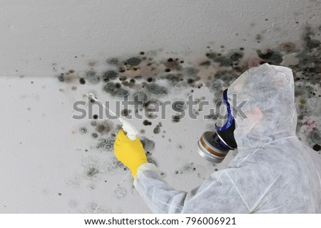 A Man removing Mold fungus with respirator mask  商業照片 © 