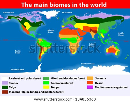 Biotope. Earth's Terrestrial Biomes. Vector map