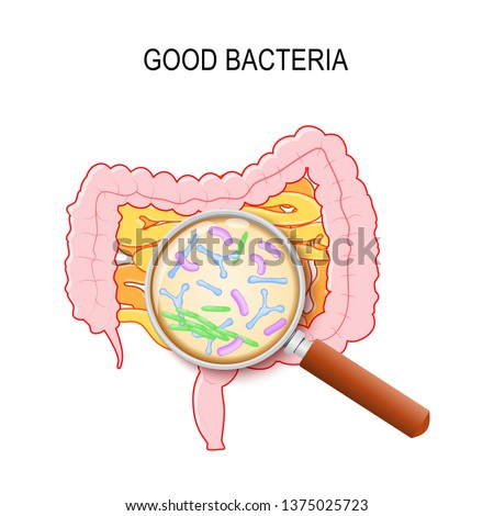 Shutterstock Puzzlepix Shutterstock Puzzlepix