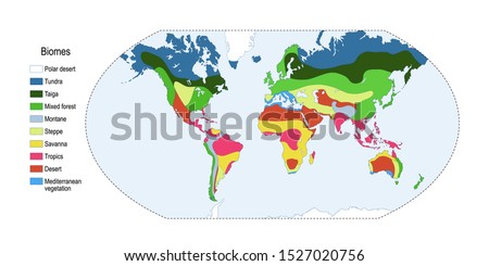 Biomes. Terrestrial ecosystem is a community of living organisms. Biotope: montane, desert, tropics, savanna, steppe, mediterranean, mixed forest, taiga, tundra and polar desert. world map