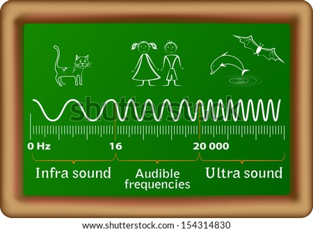 Sound frequency ranges for infrasound, audible and ultrasound waves and the corresponding animals that can hear them. Humans are only able to hear between 20 Hz to 20 000 Hz.