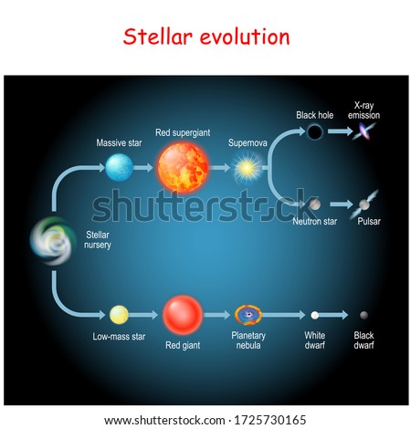 Stellar evolution. Life cycle of a star. from Stellar nursery and Red giant, to Black and White dwarfs, Planetary nebula, Supernova, Pulsar, Neutron star, and Black hole