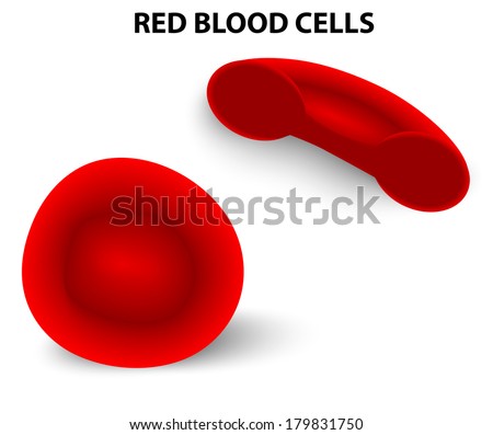 Red Blood Cell. Erythrocytes. In The Diagram You Can See A Whole Cell ...