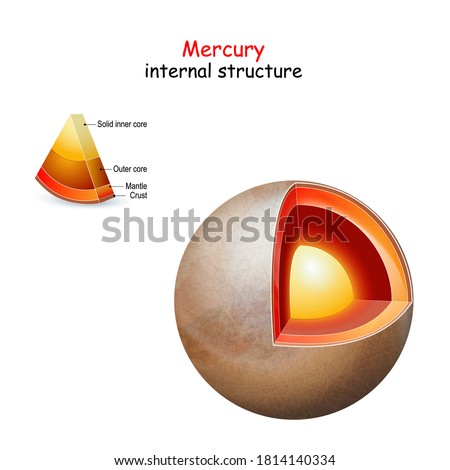 Mercury internal structure. cross section of planet from core to mantle and crust. Solar system. infographics. vector diagram. Easy to edit