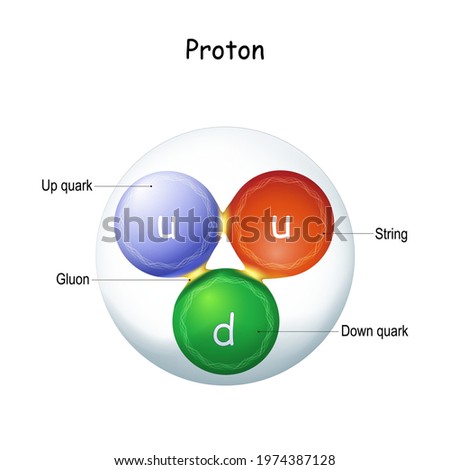 Structure of a gluon. elementary particle that 