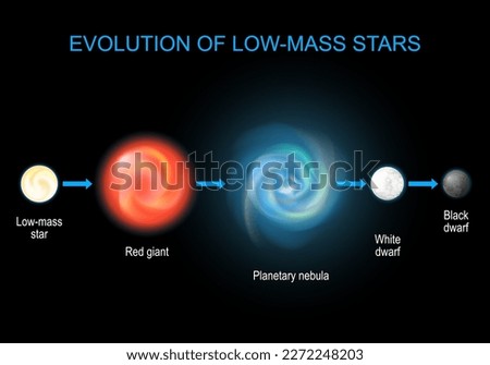 Stellar evolution. Life cycle of low stars from Red giant, and Planetary nebula to Black and White dwarfs. infographic diagram about astronomy.