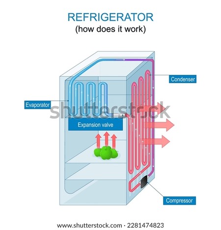 Refrigerator working principle. How does a fridge work. Construction and Function of a Freezer. Vector poster for education