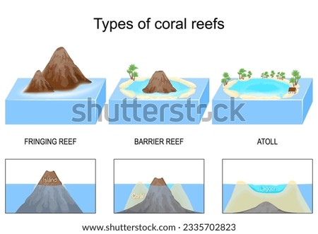 Coral Reef Clipart | Free download on ClipArtMag