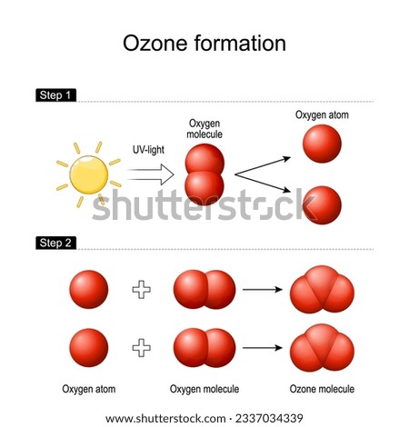 Ozone formation in Earth's atmosphere. Solar ultraviolet radiation breaks apart an oxygen molecule O2 to form two separate atoms. combination each atom with molecule oxygen to generate ozone molecule