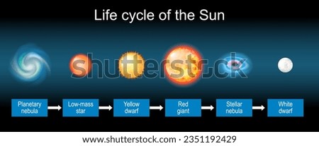 Solar life cycle. Stellar evolution from Planetary nebula and Low-mass star to Yellow dwarf, Red giant, Stellar nebula, and White dwarf. Vector illustration